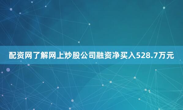 配资网了解网上炒股公司融资净买入528.7万元